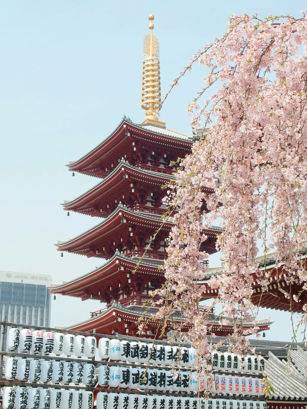 Apply Japan eVisa